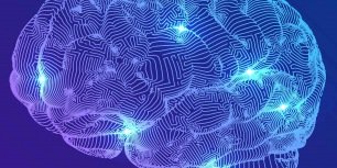 Fonctionnement de P-Quid Fonctionnement de P-Quid