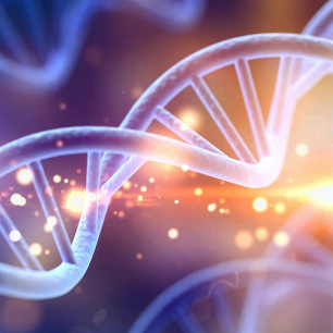 P-QUID Mon ADN P-QUID Mon ADN