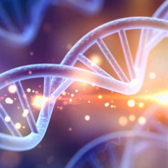 P-QUID Mon ADN P-QUID Mon ADN