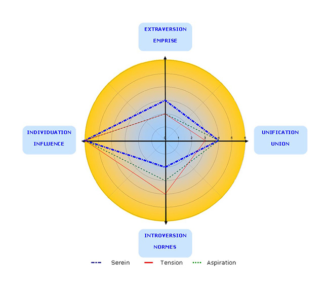 Représentation graphique de l'intensité de la pression et du stress sur votre comportement